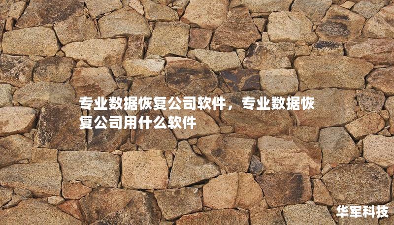 專業(yè)數(shù)據(jù)恢復(fù)公司軟件，專業(yè)數(shù)據(jù)恢復(fù)公司用什么軟件