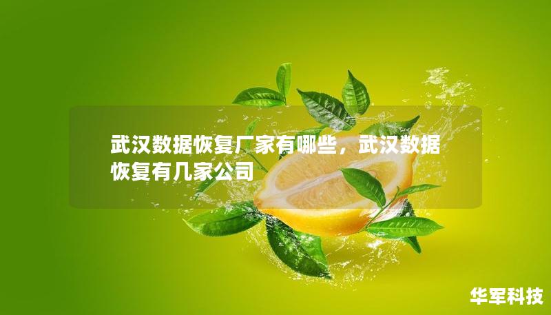 武漢數(shù)據(jù)恢復(fù)廠家有哪些，武漢數(shù)據(jù)恢復(fù)有幾家公司