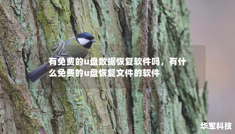 有免費(fèi)的u盤(pán)數(shù)據(jù)恢復(fù)軟件嗎，有什么免費(fèi)的u盤(pán)恢復(fù)文件的軟件