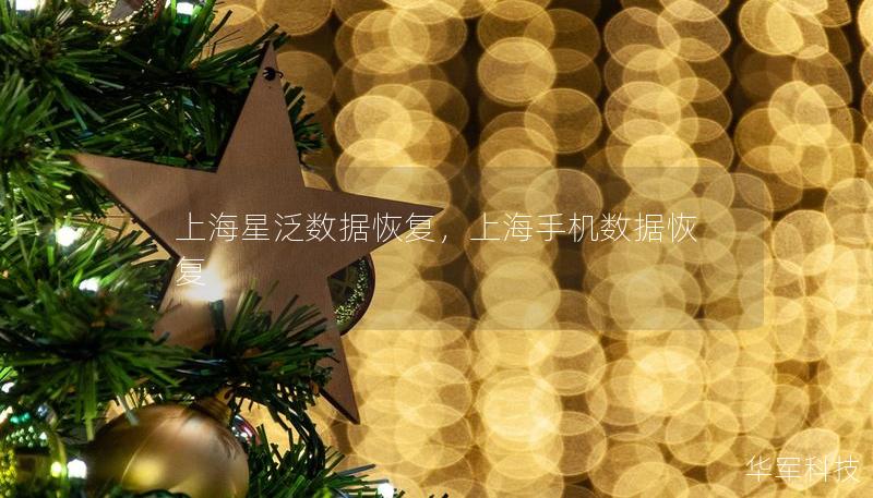 上海星泛數(shù)據(jù)恢復(fù)，上海手機(jī)數(shù)據(jù)恢復(fù)