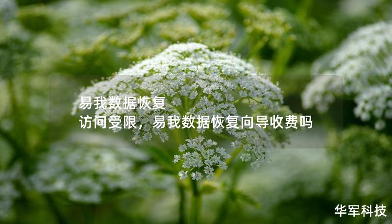 易我數(shù)據(jù)恢復(fù) 訪問受限，易我數(shù)據(jù)恢復(fù)向?qū)召M嗎