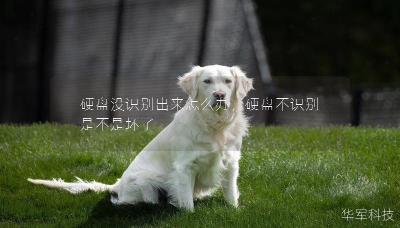 硬盤(pán)沒(méi)識(shí)別出來(lái)怎么辦，硬盤(pán)不識(shí)別是不是壞了