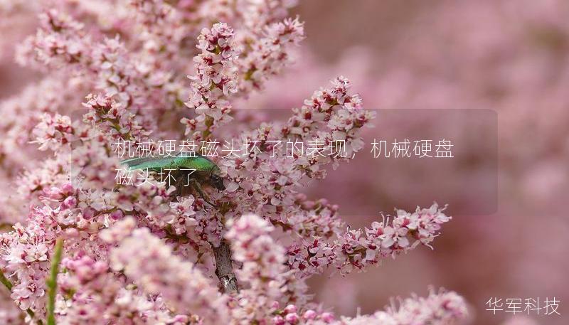 機械硬盤磁頭壞了的表現，機械硬盤磁頭壞了