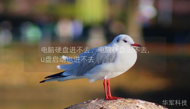 電腦硬盤進不去，電腦硬盤進不去,u盤啟動也進不去