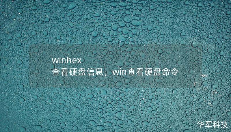 winhex 查看硬盤信息，win查看硬盤命令