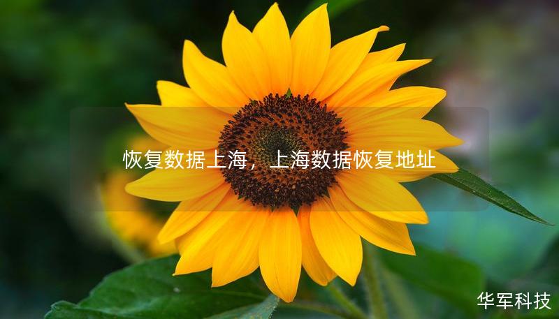 恢復(fù)數(shù)據(jù)上海，上海數(shù)據(jù)恢復(fù)地址
