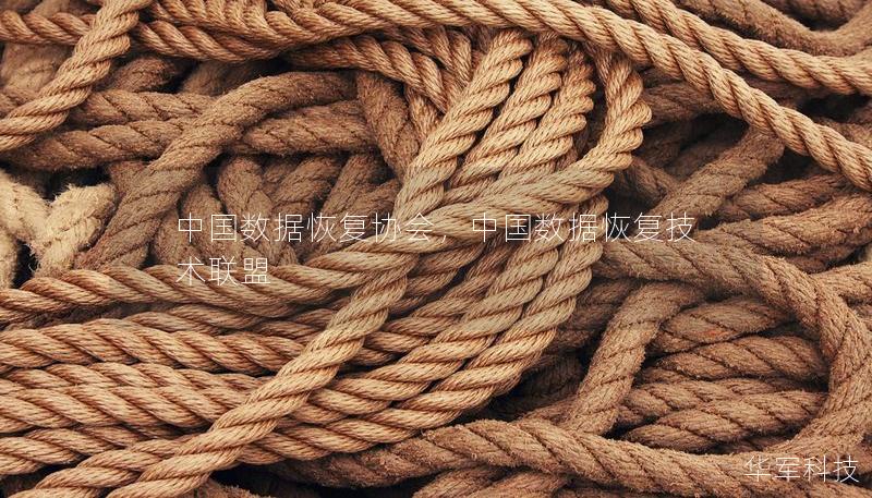 中國數(shù)據(jù)恢復(fù)協(xié)會，中國數(shù)據(jù)恢復(fù)技術(shù)聯(lián)盟