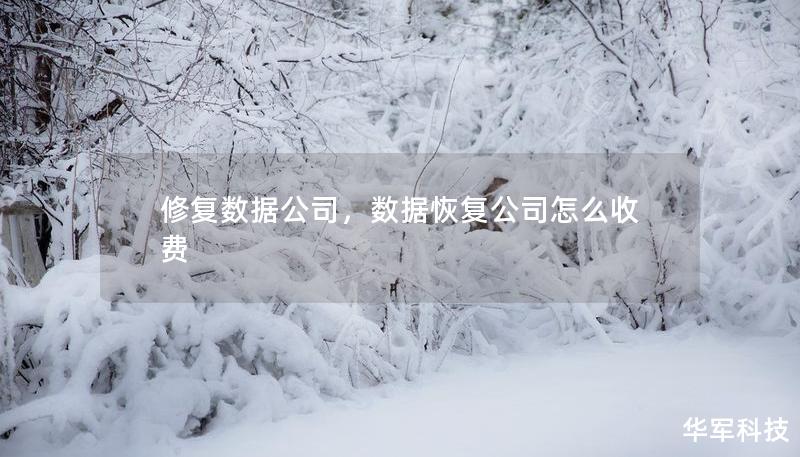 修復(fù)數(shù)據(jù)公司，數(shù)據(jù)恢復(fù)公司怎么收費(fèi)