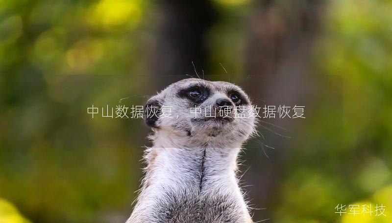 中山數(shù)據(jù)恢復(fù)，中山硬盤數(shù)據(jù)恢復(fù)