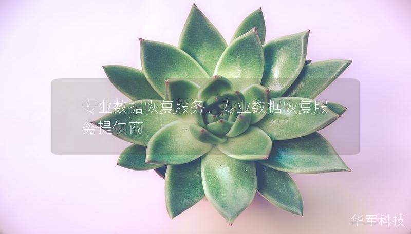 專業(yè)數(shù)據(jù)恢復(fù)服務(wù)，專業(yè)數(shù)據(jù)恢復(fù)服務(wù)提供商