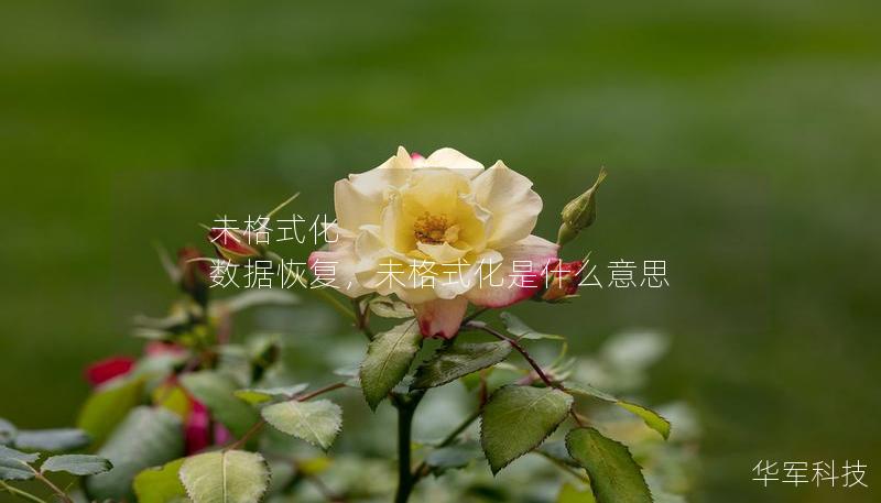 未格式化 數(shù)據(jù)恢復(fù)，未格式化是什么意思