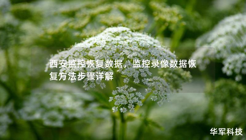 西安監(jiān)控恢復(fù)數(shù)據(jù)，監(jiān)控錄像數(shù)據(jù)恢復(fù)方法步驟詳解