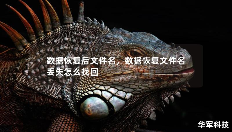 數(shù)據(jù)恢復(fù)后文件名，數(shù)據(jù)恢復(fù)文件名丟失怎么找回