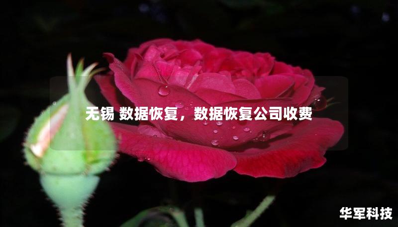 無(wú)錫 數(shù)據(jù)恢復(fù)，數(shù)據(jù)恢復(fù)公司收費(fèi)