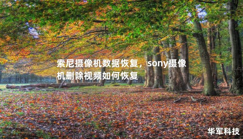 索尼攝像機(jī)數(shù)據(jù)恢復(fù)，sony攝像機(jī)刪除視頻如何恢復(fù)