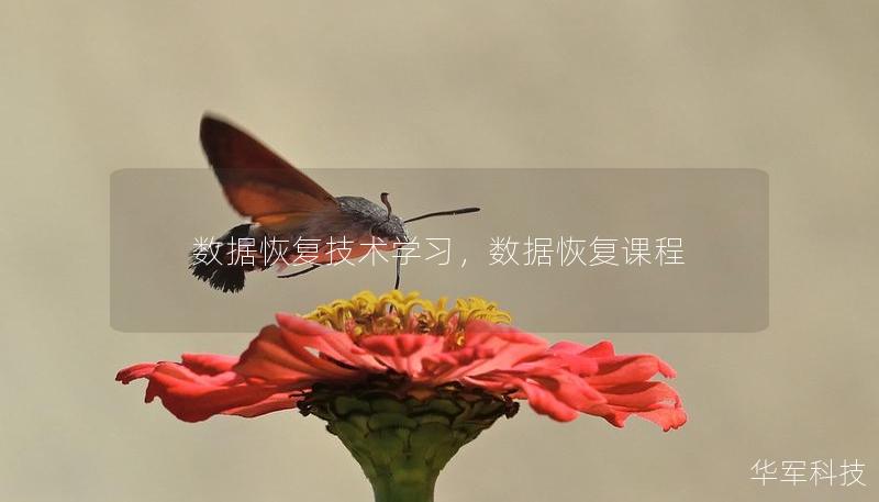 數(shù)據(jù)恢復(fù)技術(shù)學(xué)習(xí)，數(shù)據(jù)恢復(fù)課程