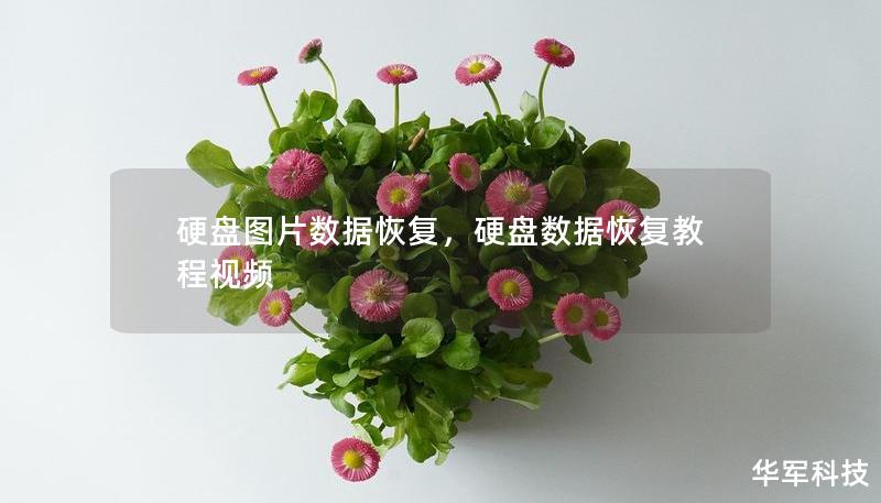 硬盤圖片數據恢復，硬盤數據恢復教程視頻