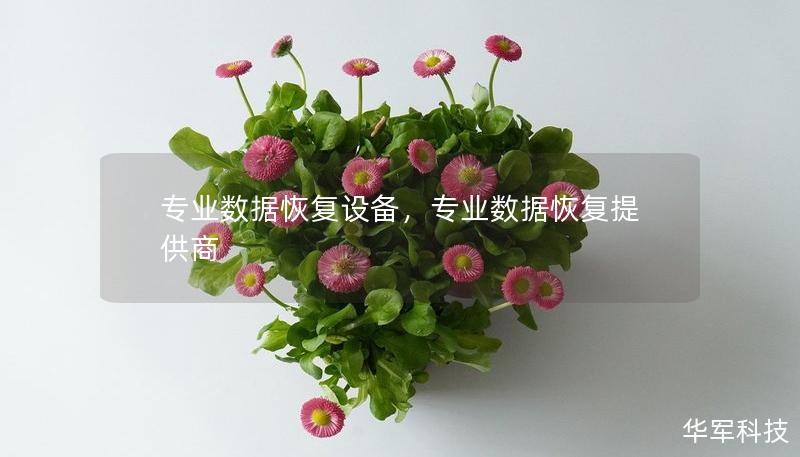 專業(yè)數(shù)據(jù)恢復(fù)設(shè)備，專業(yè)數(shù)據(jù)恢復(fù)提供商