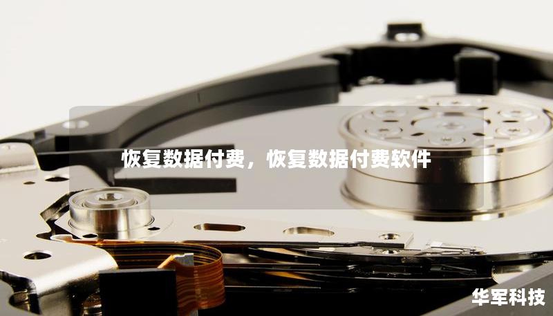 恢復(fù)數(shù)據(jù)付費(fèi)，恢復(fù)數(shù)據(jù)付費(fèi)軟件