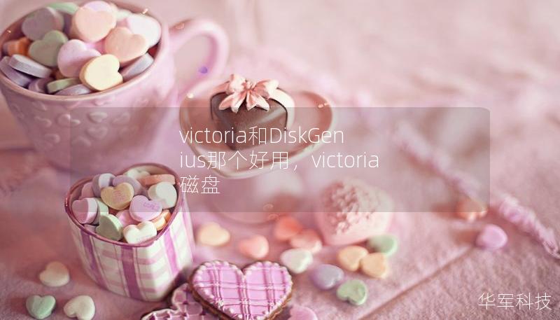 victoria和DiskGenius那個(gè)好用，victoria磁盤(pán)