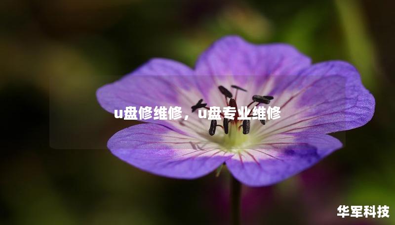 u盤修維修，u盤專業(yè)維修