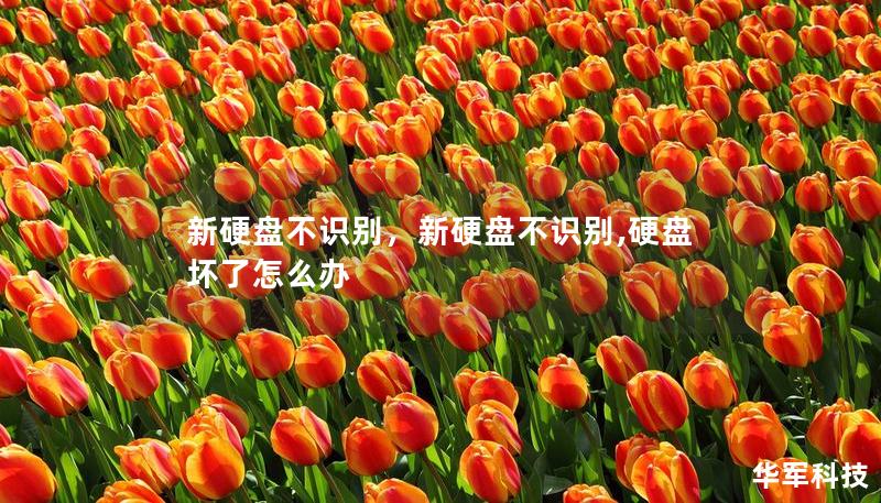 新硬盤(pán)不識(shí)別，新硬盤(pán)不識(shí)別,硬盤(pán)壞了怎么辦