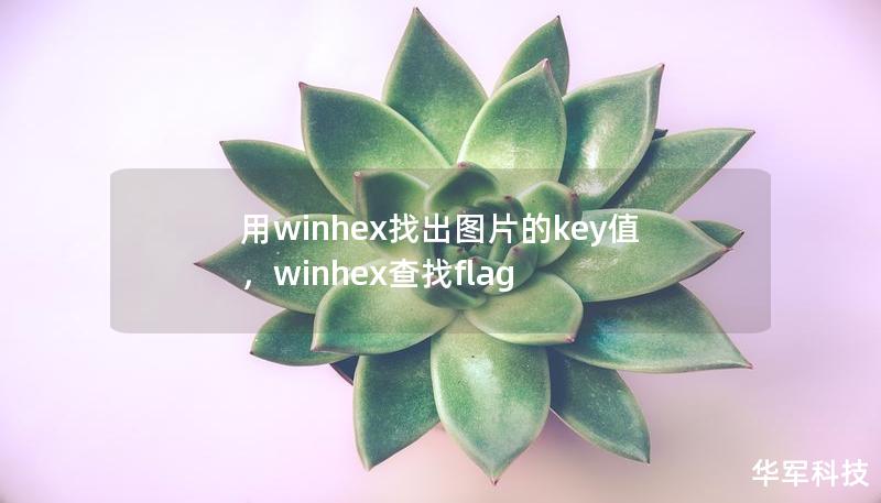 用winhex找出圖片的key值，winhex查找flag