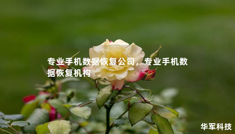 專業(yè)手機數(shù)據(jù)恢復(fù)公司，專業(yè)手機數(shù)據(jù)恢復(fù)機構(gòu)