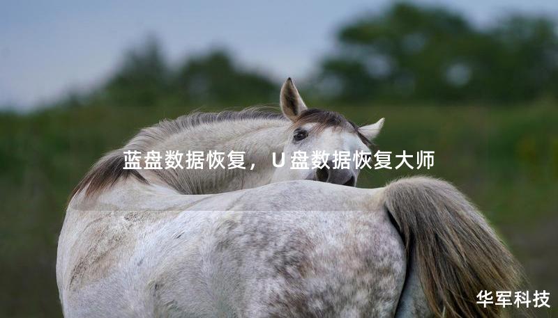 藍(lán)盤數(shù)據(jù)恢復(fù)，∪盤數(shù)據(jù)恢復(fù)大師