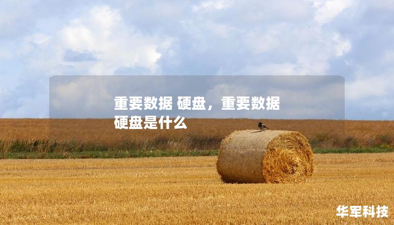 重要數(shù)據(jù) 硬盤，重要數(shù)據(jù) 硬盤是什么