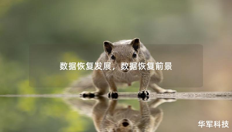 數(shù)據(jù)恢復(fù)發(fā)展，數(shù)據(jù)恢復(fù)前景