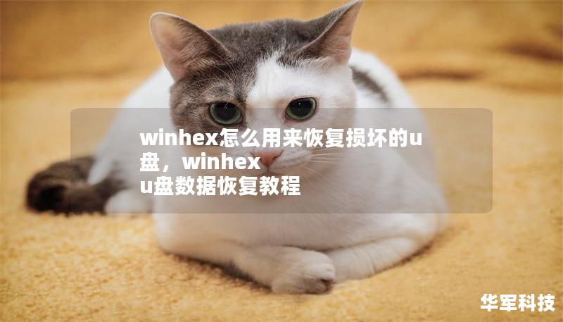 winhex怎么用來恢復(fù)損壞的u盤，winhex u盤數(shù)據(jù)恢復(fù)教程