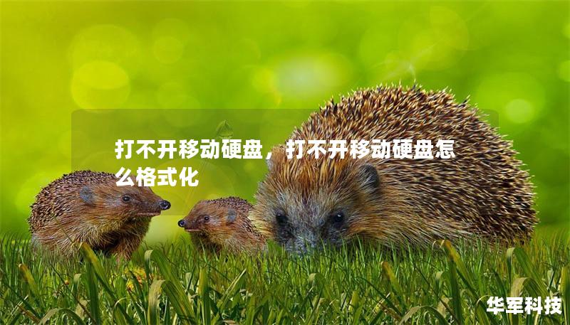 打不開移動(dòng)硬盤，打不開移動(dòng)硬盤怎么格式化