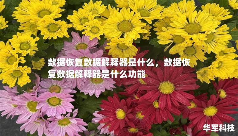 數(shù)據(jù)恢復(fù)數(shù)據(jù)解釋器是什么，數(shù)據(jù)恢復(fù)數(shù)據(jù)解釋器是什么功能