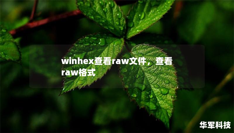 winhex查看raw文件，查看raw格式
