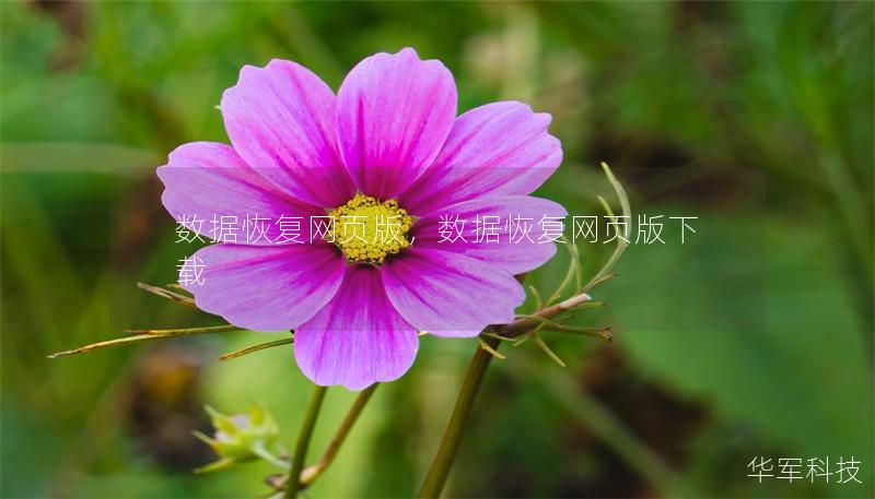 數(shù)據(jù)恢復(fù)網(wǎng)頁(yè)版，數(shù)據(jù)恢復(fù)網(wǎng)頁(yè)版下載