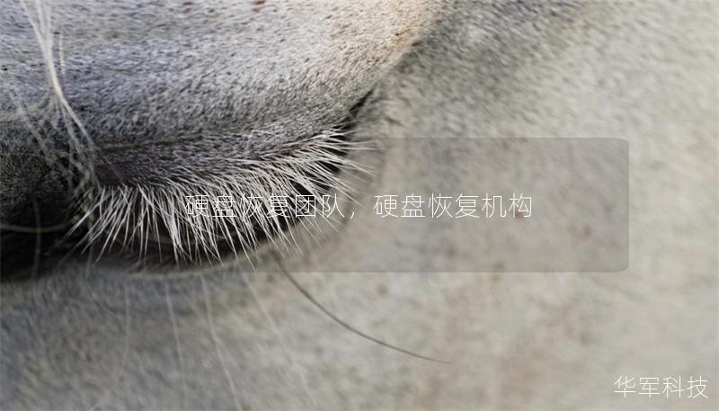 硬盤恢復(fù)團(tuán)隊，硬盤恢復(fù)機(jī)構(gòu)