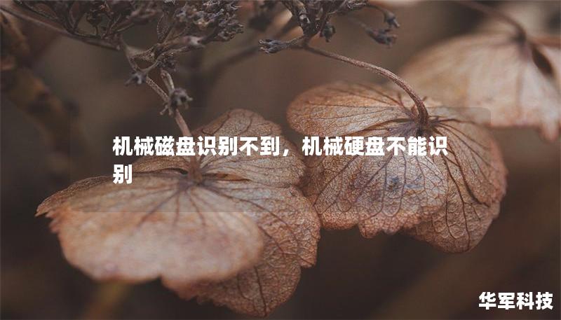 機械磁盤識別不到，機械硬盤不能識別
