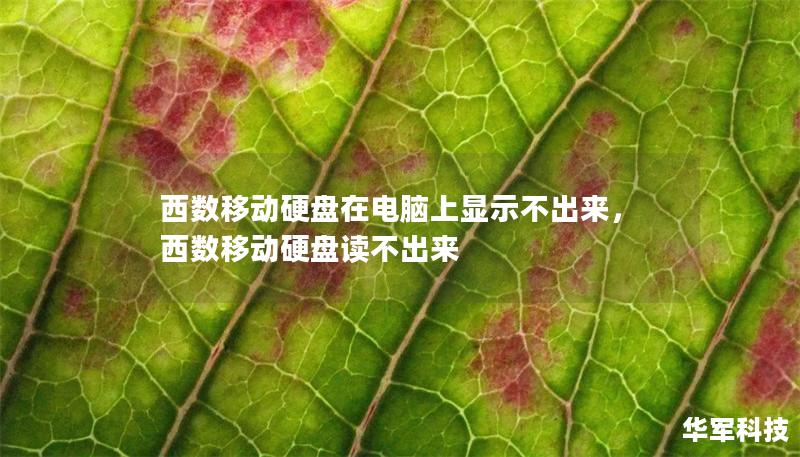 西數(shù)移動硬盤在電腦上顯示不出來，西數(shù)移動硬盤讀不出來