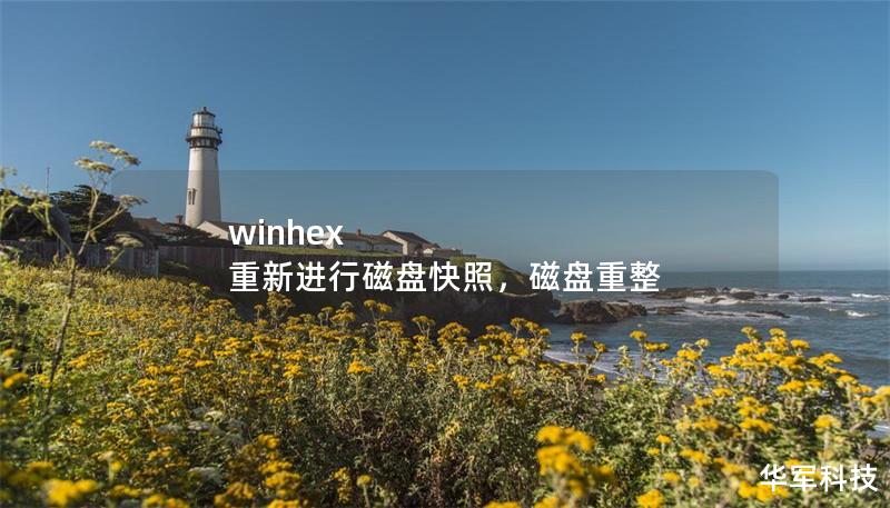 winhex 重新進(jìn)行磁盤(pán)快照，磁盤(pán)重整