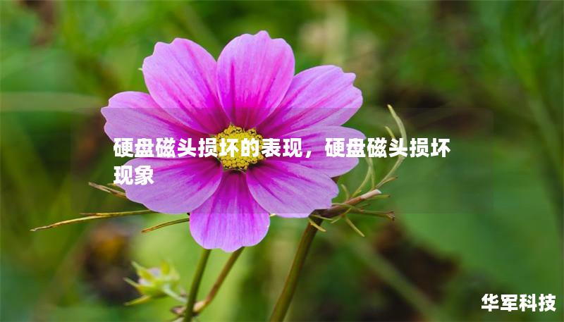 硬盤磁頭損壞的表現(xiàn)，硬盤磁頭損壞現(xiàn)象