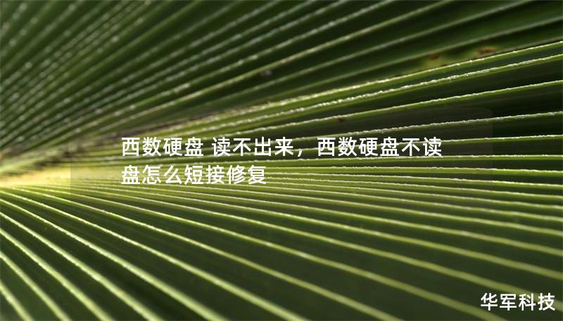 西數(shù)硬盤 讀不出來，西數(shù)硬盤不讀盤怎么短接修復(fù)