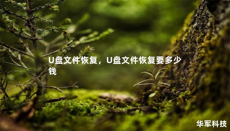 U盤文件恢復(fù)，U盤文件恢復(fù)要多少錢