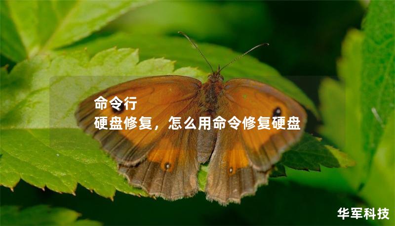 命令行 硬盤修復(fù)，怎么用命令修復(fù)硬盤
