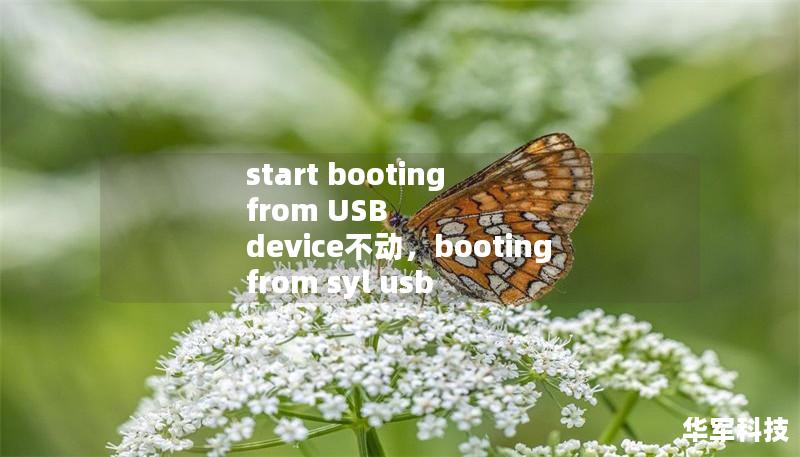 start booting from USB device不動，booting from syl usb disk