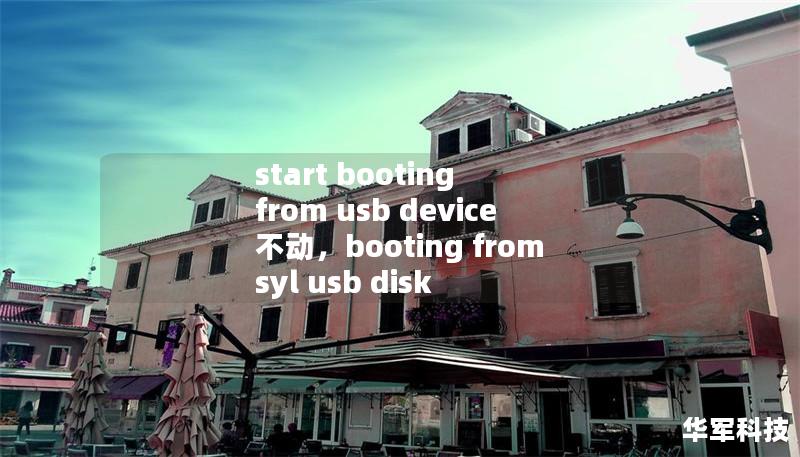 start booting from usb device 不動，booting from syl usb disk