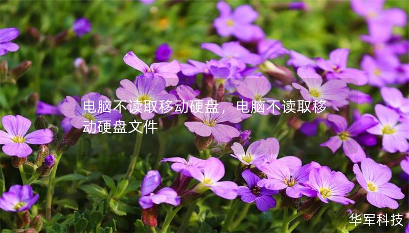 電腦不讀取移動硬盤，電腦不讀取移動硬盤文件