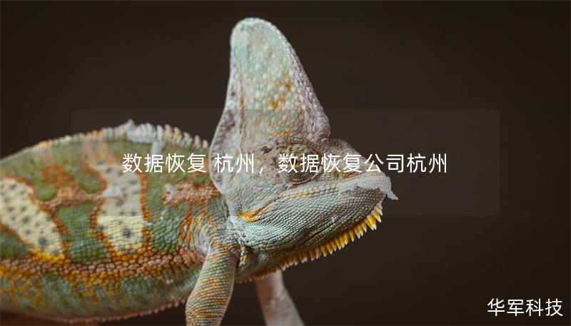 數(shù)據(jù)恢復(fù) 杭州，數(shù)據(jù)恢復(fù)公司杭州