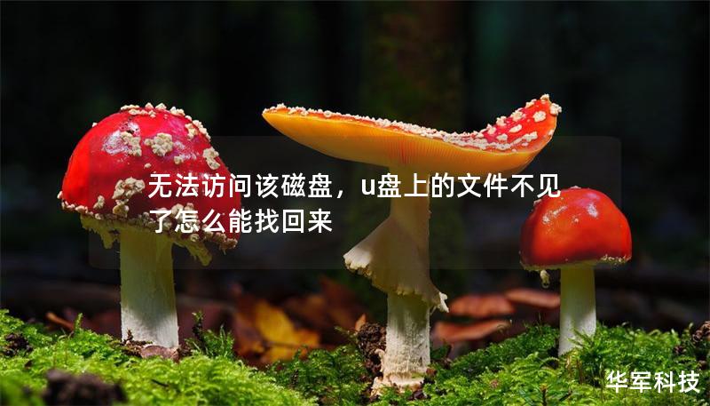 無法訪問該磁盤，u盤上的文件不見了怎么能找回來