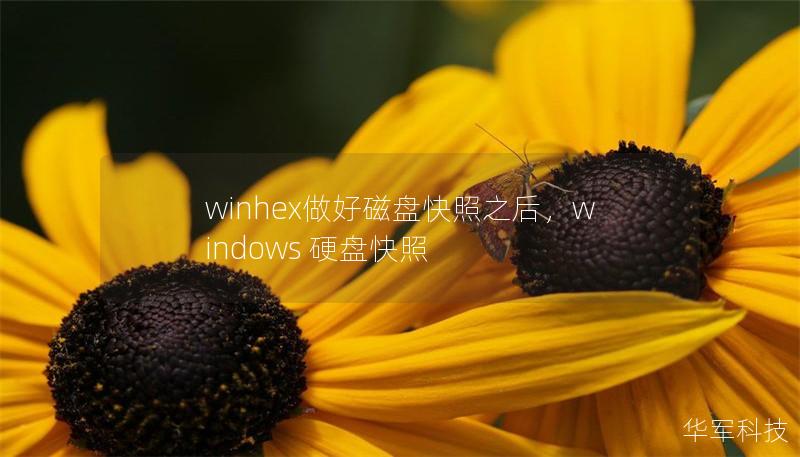 winhex做好磁盤快照之后，windows 硬盤快照